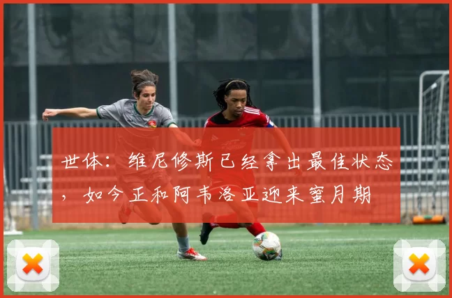 世体：维尼修斯已经拿出最佳状态，如今正和阿韦洛亚迎来蜜月期
