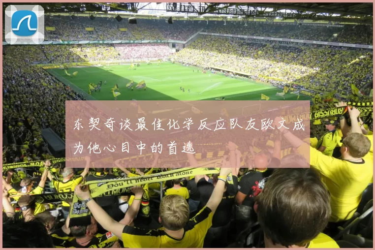 东契奇谈最佳化学反应队友欧文成为他心目中的首选