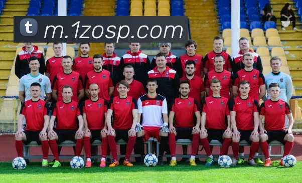 中欧体育平台生态图